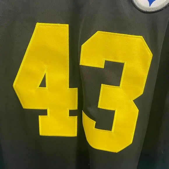 NFL Pittsburgh Steelers Troy Polamalu #43 Jersey Black